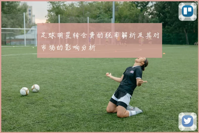 足球明星转会费的税率解析及其对市场的影响分析