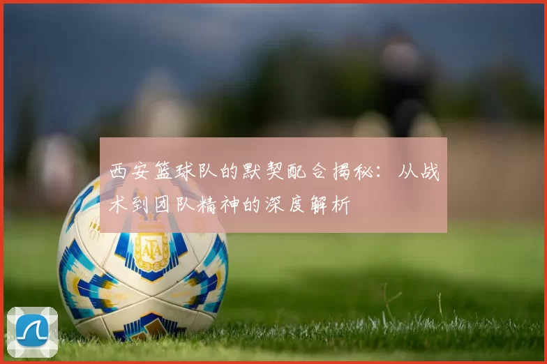 西安篮球队的默契配合揭秘：从战术到团队精神的深度解析