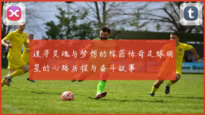 追寻灵魂与梦想的绿茵传奇足球明星的心路历程与奋斗故事