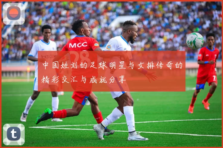 中国姓刘的足球明星与女排传奇的精彩交汇与成就分享