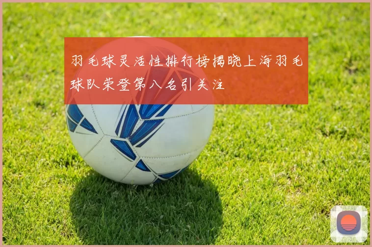 羽毛球灵活性排行榜揭晓上海羽毛球队荣登第八名引关注
