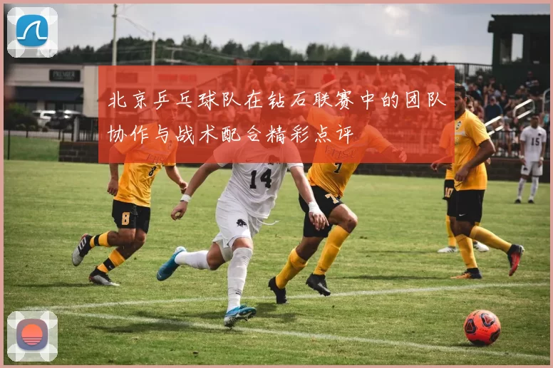 北京乒乓球队在钻石联赛中的团队协作与战术配合精彩点评