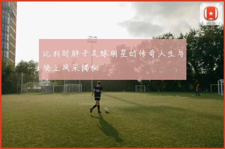 比利时胖子足球明星的传奇人生与场上风采揭秘