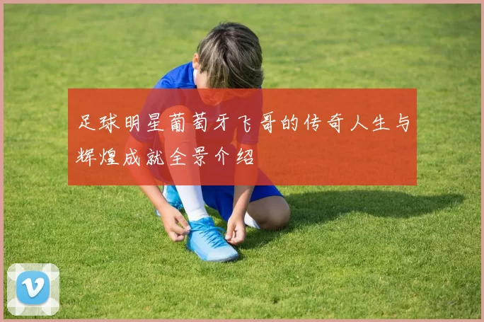 足球明星葡萄牙飞哥的传奇人生与辉煌成就全景介绍