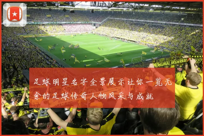 足球明星名字全景展示让你一览无余的足球传奇人物风采与成就